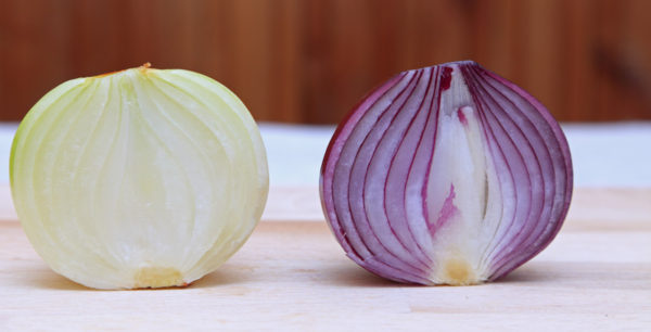 different onions canstockphoto3766064