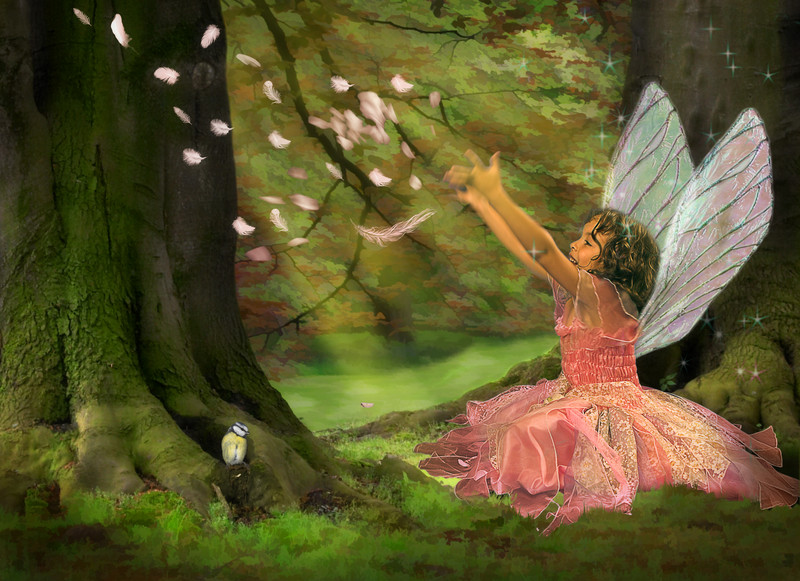 canstockphoto3250246_fairies_Anke