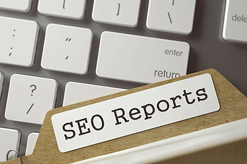 SEO Reports