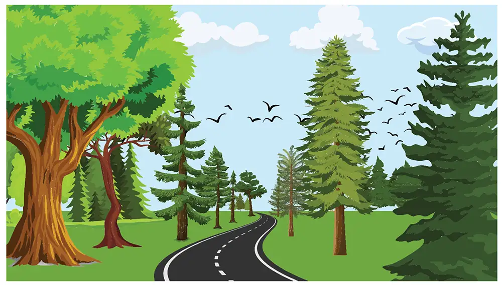Illustration of a curving highway with bright green trees on either side of the road, with birds flying in the sky.